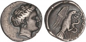 GREEK COINS
Dracma. 340-294 a.C. CHALKIS. Anv.: Cabeza de Hera a derecha. Rev.: Águila volando a derecha, sosteniendo una serpiente con el pico, leye...