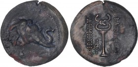 GREEK COINS
AE 29. 205-171 a.C. DEMETRIO I. BACTRIA E INDOGRECIA. Anv.: Cabeza de elefante a derecha. Rev.: Caduceo entre leyendas. 12,04 grs. AE. (L...