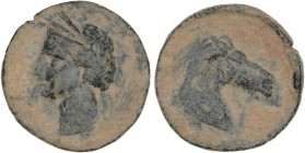 CELTIBERIAN COINS
Calco. 220-215 a.C. CARTAGONOVA (CARTAGENA, Murcia). Anv.: Cabeza de Tanit a izquierda. Rev.: Cabeza de caballo a derecha. 9 grs. A...