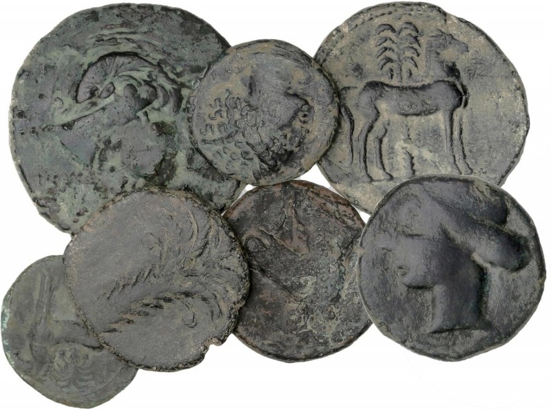 CELTIBERIAN COINS
Lote 7 monedas 1/4, 1/2 y 1 Calco. 220-180 a.C. CARTAGONOVA (...