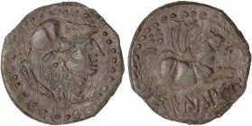 CELTIBERIAN COINS
As. 50-27 a.C. EMPORITON (L´ESCALA, EMPÚRIES, Girona). Anv.: Cabeza de Palas a derecha. Rev.: Pegaso a derecha, debajo EMPOR. 6,83 ...