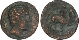 CELTIBERIAN COINS
As. 120-20 a.C. EUSTIBAICULA (Zona de CATALUNYA). Anv.: Cabeza masculina a derecha, detrás jabalí. Rev.: Jinete con palma a derecha...