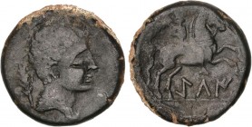 CELTIBERIAN COINS
As. 120-20 a.C. GILI (GILET, Valencia). Anv.: Cabeza masculina con diadema a derecha, detrás espiga. Rev.: Jinete con palma a derec...