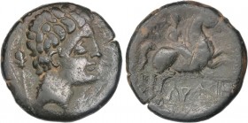 CELTIBERIAN COINS
As. 120-20 a.C. LAURO (LLERONA, Barcelona). Anv.: Cabeza masculina a derecha, detrás cetro. Rev.: Jinete con palma a derecha, debaj...