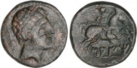 CELTIBERIAN COINS
As. 120-20 a.C. SAITI (XÁTIVA, Valencia). Anv.: Cabeza masculina a derecha, detrás espiga. Rev.: Jinete con lanza a derecha, debajo...