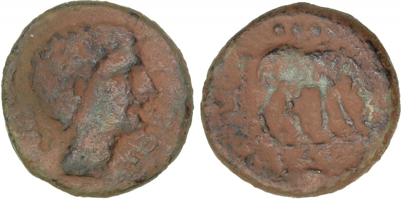 CELTIBERIAN COINS
Triente. 220-200 a.C. CESE (TARRAGONA). Anv.: Cabeza masculin...