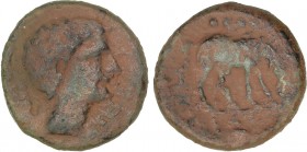 CELTIBERIAN COINS
Triente. 220-200 a.C. CESE (TARRAGONA). Anv.: Cabeza masculina a derecha, detrás caduceo. Rev.: Caballo pastando a derecha, encima ...