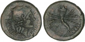 CELTIBERIAN COINS
As. 150-50 a.C. VALENTIA (VALENCIA). Anv.: C. MVNI. Q. C. LVCIEN. Cabeza galeada de Roma a derecha. Rev.: Cornucopia sobre fulmen, ...