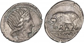 ROMAN COINS: ROMAN REPUBLIC
Republic
Denario. 81 a.C. CAECILIA-43. Q. Caecillius Metellus Pius. Anv.: Cabeza diademada de la Piedad, delante cigüeña...