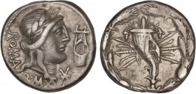 ROMAN COINS: ROMAN REPUBLIC
Republic
Denario. 82-80 a.C. FABIA-6. Q. Fabius Maximus. Anv.: Cabeza laureada de Apolo a derecha, detrás ROMA P. MAX, d...