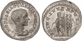 ROMAN COINS: ROMAN EMPIRE
Empire
Denario. Acuñada el 218 d.C. DIADUMENIANO. Anv.: M. OPEL. DIADVMENIANVS CAES. Busto a derecha. Rev.: PRINC. IVVENTV...