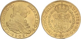 SPANISH MONARCHY: CHARLES IV
Charles IV
2 Escudos. 1803. MADRID. F.A. 6,65 grs. (Leves hojitas). AC-1308. MBC+.
