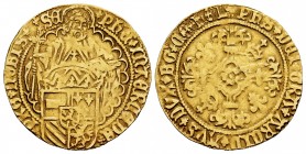 Low Countries. Philip "El Hermoso". Florin de San Felipe. (1482-1506). Dordrecht. (Gelder&Hoc-115-6b var). (Delmonte-756). Au. 3,25 g. Rare. Choice VF...