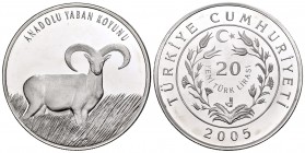 Turkey. 20 new lira. 2005. Istambul. (Km-1177). Ag. 23,37 g. Mouflon. Mintage: 779. PR. Est...40,00.   

SPANISH DESCRIPTION: Turquía. 20 new lira. 20...