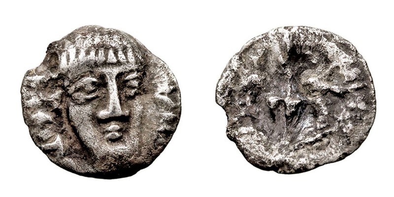 MONEDAS ANTIGUAS
CAMPANIA
Óbolo. AR. (310 a.C.) Fistelia. A/Cabeza masculina d...