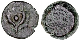 MONEDAS ANTIGUAS
JUDEA
Alexander Jannaneo. Prutah. AE. (103-76 a.C.) A/Ley. hebrea. R/Doble cornucopia con lazos, en el centro granada. 2,52 g. HEND...