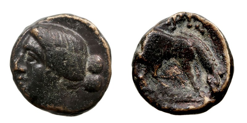 MONEDAS ANTIGUAS
TESALIA
Larissa. Hemichalkon. AE. (C. 320-280 a.C.) A/Cabeza ...