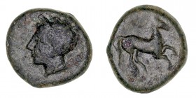 MONEDAS ANTIGUAS
SICILIA
AE-17. (C. 370-340 a.C.) Dominación Cartaginesa. A/Cabeza de Tanit a izq. R/Caballo saltando a der. 5,41 g. CNS III, 3. MBC...