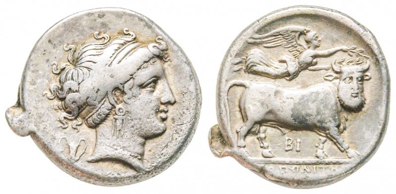 Campania, Neapolis, Didrachm, 275-250 BC, AG 7.2 g.
Ref : HN Italy 586, SNG Cop....