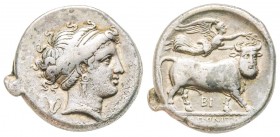 Campania, Neapolis, Didrachm, 275-250 BC, AG 7.2 g.
Ref : HN Italy 586, SNG Cop. 445
XF