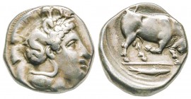 Lucania, Thurium, Stater, 350-281 BC, AG 7.84 g. 
Ref : SNG ANS 1005
VF