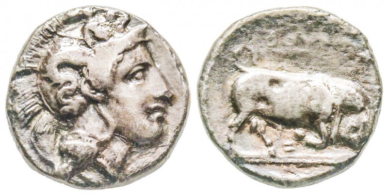Lucania, Thurium, Stater, 350-281 BC, AG 7.15 g. 
Ref : SNG ANS 1005
VF
