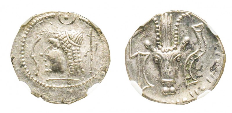 Arabia Felix, Kingdom Ḥimyarites, Drachm, I cent BC, AG 2.69 g.
Ref : SNG ANS 1...