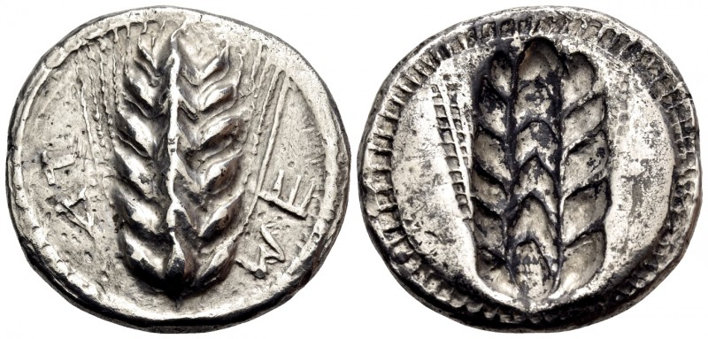 LUCANIA. Metapontion. Circa 530-520 BC. Didrachm or nomos (Silver, 23.5 mm, 8.20...