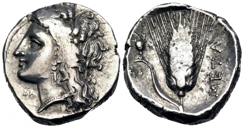 LUCANIA. Metapontum. Circa 330-290 BC. Didrachm or nomos (Silver, 21.5 mm, 7.83 ...