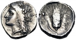 LUCANIA. Metapontum. Circa 330-290 BC. Didrachm or nomos (Silver, 21.5 mm, 7.83 g, 12 h). Head of Demeter to left, wearing wreath of barley ears and t...