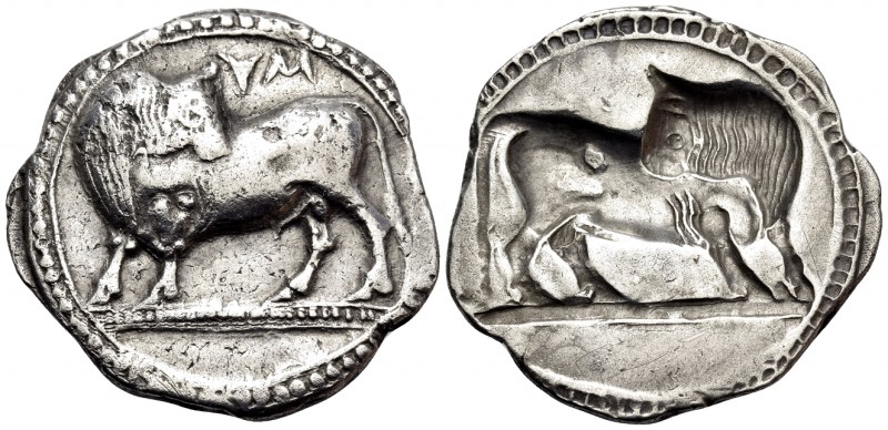 LUCANIA. Sybaris. Circa 550-510 BC. Didrachm or nomos (Silver, 26 mm, 8.01 g, 12...