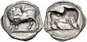 LUCANIA. Sybaris. Circa 550-510 BC. Didrachm or nomos (Silver, 26 mm, 8.01 g, 12 h). ΜV (retrograde) Bull standing to left on dotted ground line, his ...