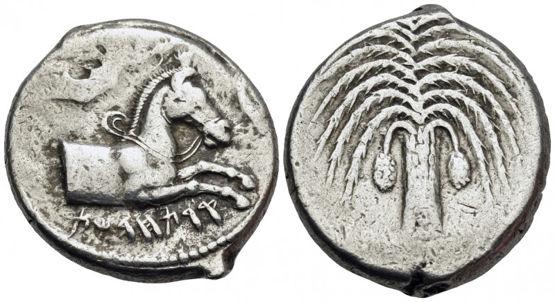 SICILY. Entella. 407-398 BC. Tetradrachm (Silver, 25 mm, 16.31 g, 7 h). QRTḤDŠT ...