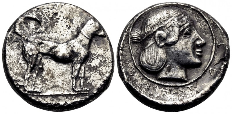 SICILY. Segesta. Circa 455/0-445/0 BC. Didrachm (Silver, 20.5 mm, 7.89 g, 6 h). ...