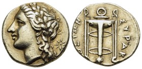 SICILY. Syracuse. Agathokles, 317-289 BC. Dekadrachm or 50 Litrai (Electrum, 14 mm, 3.62 g, 6 h), struck circa 310-305. Laureate head of Apollo to lef...