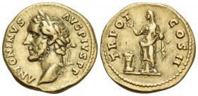 Antoninus Pius, 138-161. Aureus (Gold, 19 mm, 7.15 g, 5 h), Rome, 139. ANTONINVS AVG PIVS P P Laureate head of Antoninus Pius to left. Rev. TR POT COS...