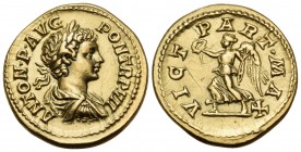 Caracalla, 198-217. Aureus (Gold, 20 mm, 7.27 g, 6 h), Rome, 204. ANTON P AVG PON TR P VII Laureate, draped and cuirassed bust of Caracalla to right. ...