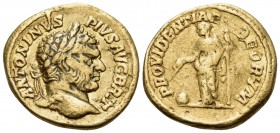 Caracalla, 198-217. Aureus (Gold, 20 mm, 7.12 g, 6 h), Rome, c. 210-213. ANTONINVS PIVS AVG BRIT Laureate head of Caracalla to right. Rev. PROVIDENTIA...