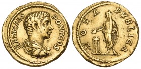 Geta, as Caesar, 198-209. Aureus (Gold, 20.5 mm, 7.31 g, 5 h), Rome, 205. GETA CAES PONT COS Bare-headed, draped and cuirassed bust of Geta to right. ...
