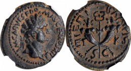 Domitian, A.D. 81-96

DOMITIAN WITH AGRIPPA II, A.D. 81-96. Judaea, Roman Administration. AE 21 (5.56 gms), Caesarea Maritima Mint, dated RY 26 (A.D...
