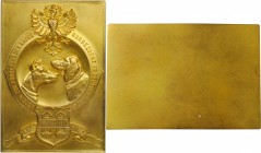 AUSTRIA

AUSTRIA. Association for Pedigreed Canines in Tyrol Uniface Gilt Bronze Award Plaque, ND (ca. 1900). CHOICE UNCIRCULATED.

41x60mm. A del...
