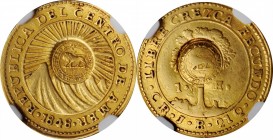 COSTA RICA

COSTA RICA. Escudo, ND (1849-57). San Jose Mint. NGC AU-53.

Fr-4a; KM-84. A "lion" countermark (Type VI) on a Costa Rica (Central Ame...