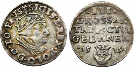 Sigismund I the Old, 3 Groschen Danzig 1539 - PRVS
Ładny, połyskowy egzemplarz w delikatnie złotej patynie.
Odmiana z końcówką PRVS, kropki na awersie...