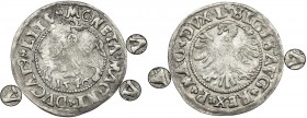Sigismund II August, Halfgroat Vilnius 1546 - letters Λ - RARE
Rzadka i ciekawa odmiana z literami A wybitymi odwróconą literą V, ze starszym typem Or...