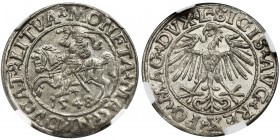 Sigismund II August, Halfgroat Vilnius 1548 - NGC MS63 - L/LITVA
Piękny, połyskowy półgrosz w menniczym stanie zachowania.
Rzadsza odmiana z arabską c...