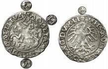 Sigismund II August, Halfgroat Vilnius 1557 - two trefoils - UNLISTED, VERY RARE
Bardzo rzadki i nienotowany półgrosz litewski z 1557 roku.
Odmiana na...