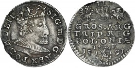 Sigismund III Vasa, 3 Groschen Olkusz 1591
Odmiana z herbem Lewart w ozdobnej tarczy, mała głowa w koronie z liliami i łukami. Reference: Iger O.91.1....