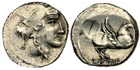 Roman Republic, Titius, Denarius
Nice denarius minted in Rome in 90 BC by one of the monetary triumvirs, Quintus Titius. The offered denarius was mint...