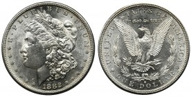 USA, 1 dollar San Francisco 1882 - Morgan
Mint freshness coin with an intense shine background. Background with a proof effect in the typical blacknes...