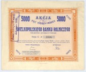 Wielkopolski Bank Rolniczy akcja na 5000 mkp em. III s. C
Bank w swej historii posługiwał się po kolei trzema firmami:&nbsp; Bank Rolniczo-Przemysłowy...